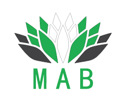 MAB Digital Marketing